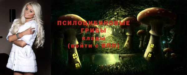 не бодяженный Белокуриха