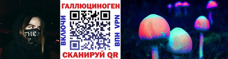 hydra как зайти  Щучье  Псилоцибиновые грибы MAGIC MUSHROOMS  купить  цена 